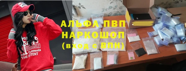 СК Белокуриха