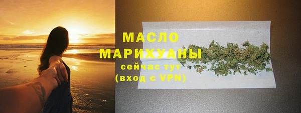 индика Беломорск
