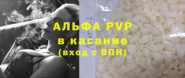 индика Беломорск