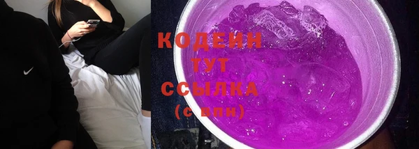 шишки Белоозёрский