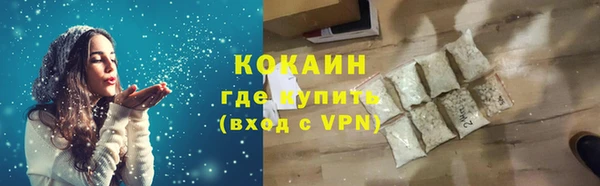 индика Беломорск