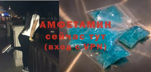 шишки Белоозёрский