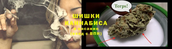шишки Белоозёрский