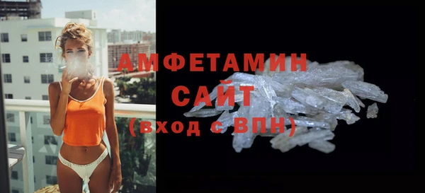 шишки Белоозёрский