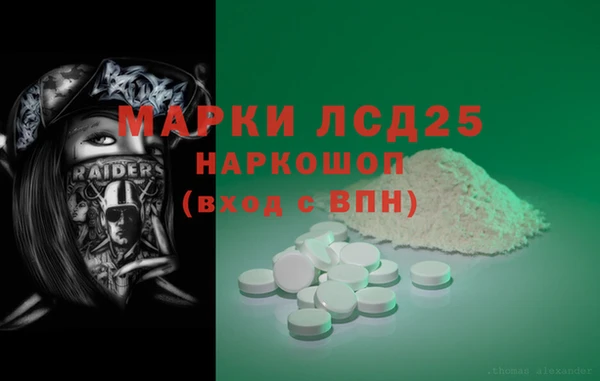 шишки Белоозёрский