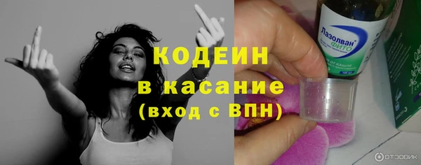 шишки Белоозёрский