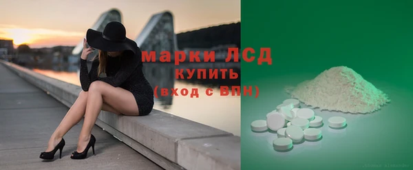 индика Беломорск