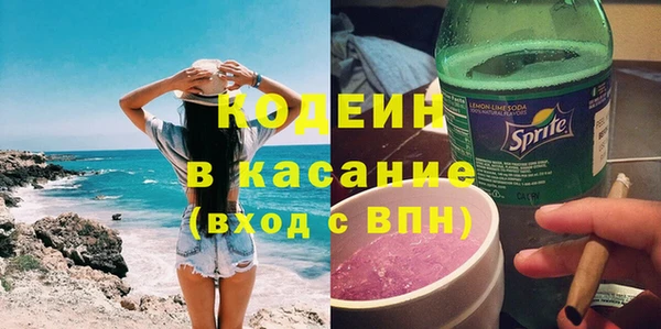 шишки Белоозёрский