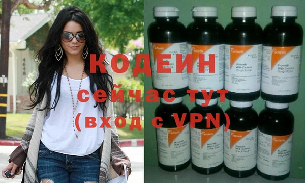 индика Беломорск