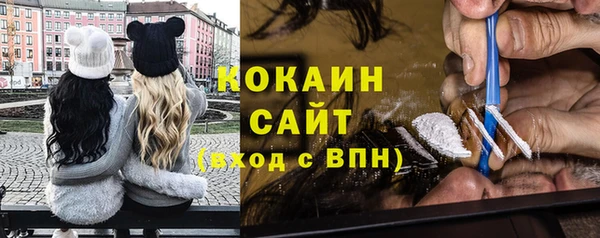 индика Беломорск