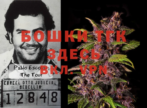 шишки Белоозёрский