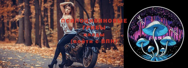 индика Беломорск