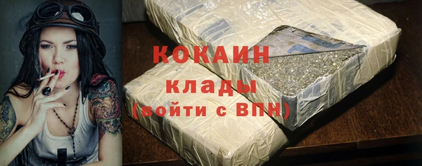 индика Беломорск