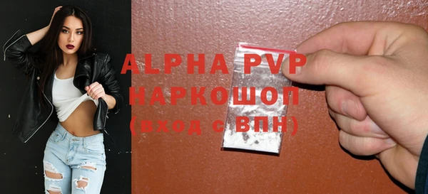 индика Беломорск